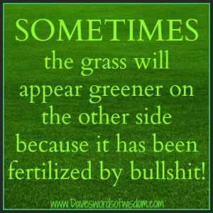 grass greener